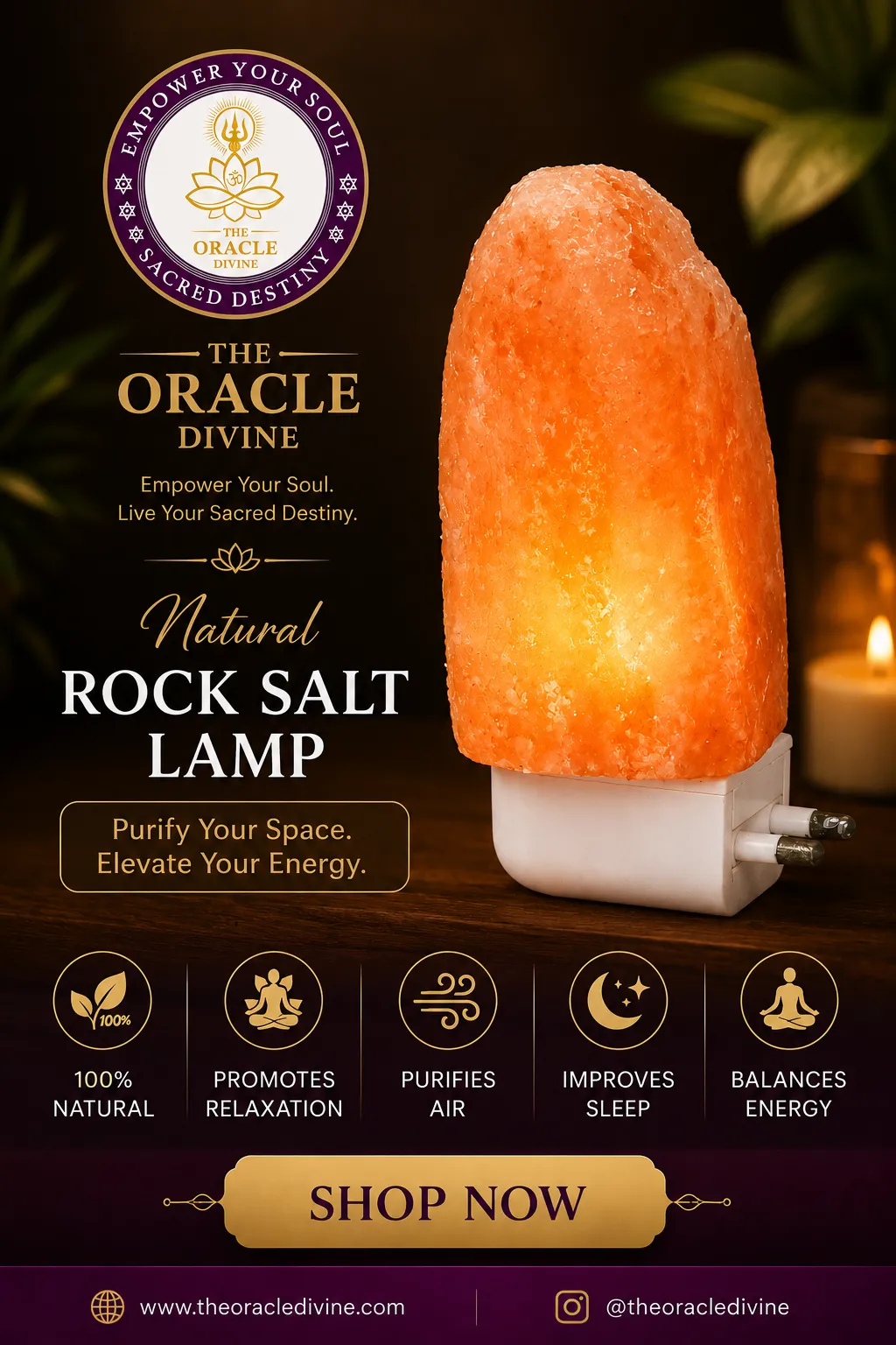 Natural Himalayan Rock Salt Night Lamp